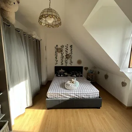 A 5 Minutes A Pieds Du Chateau, 2 Belles Et Spacieuses Chambres, Sdb, Wc Et Un Garage Prive A 25 Minutes Circuit 24h * Le Grand-Luce