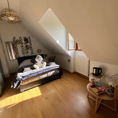A 5 Minutes A Pieds Du Chateau, 2 Belles Et Spacieuses Chambres, Sdb, Wc Et Un Garage Prive A 25 Minutes Circuit 24h Homestay